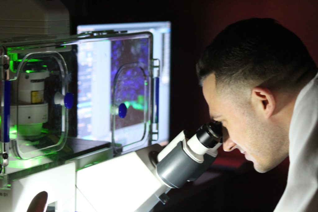 Dr. Matthew Scarnati looks through a confocal microscrope